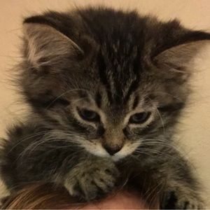 Meet your Posher, Karina